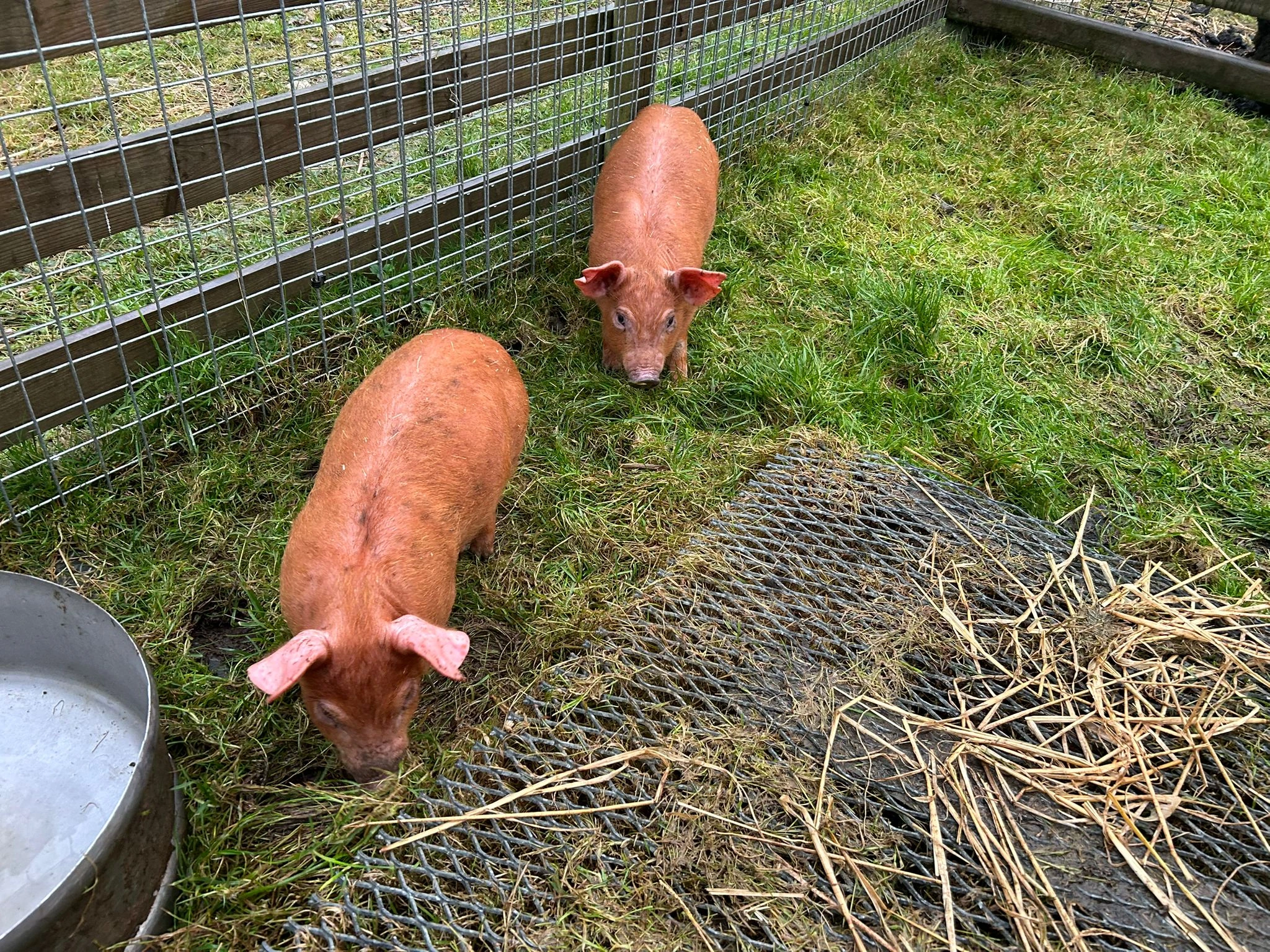 Photo 12 from 2025 Event